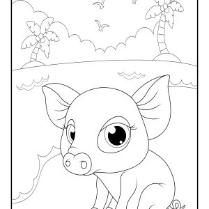 Pig coloring
