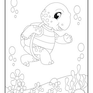 Sea turtle coloring