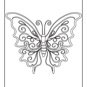 Butterfly colouring images