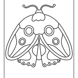 Butterfly wings coloring page