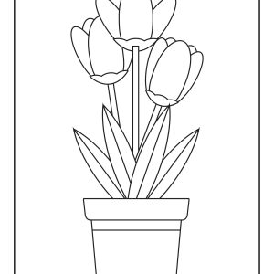 Colouring sheets of flowers
