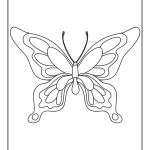 Cute butterfly coloring pages