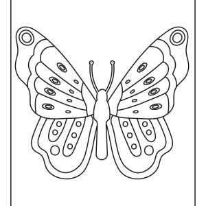 Detailed butterfly coloring pages for adults