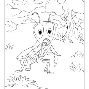 Insects colouring pages