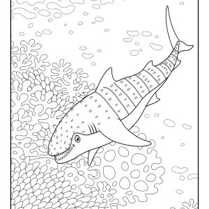 Ocean animal coloring pages