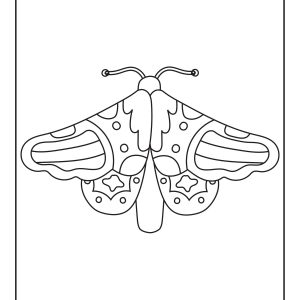 Realistic butterfly coloring pages